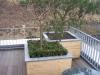 Terrasse aus Bangkirai- Holz, Blumenkübel dazu aus Lärche